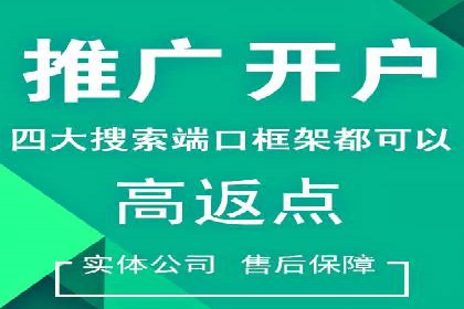 SEM搜索引擎优化案例：如何提升网站流量和转化率